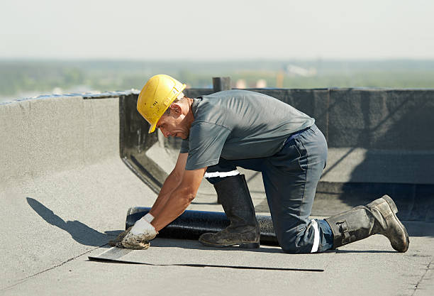 Best Insulation Maintenance and Repair in Hartley, IA
